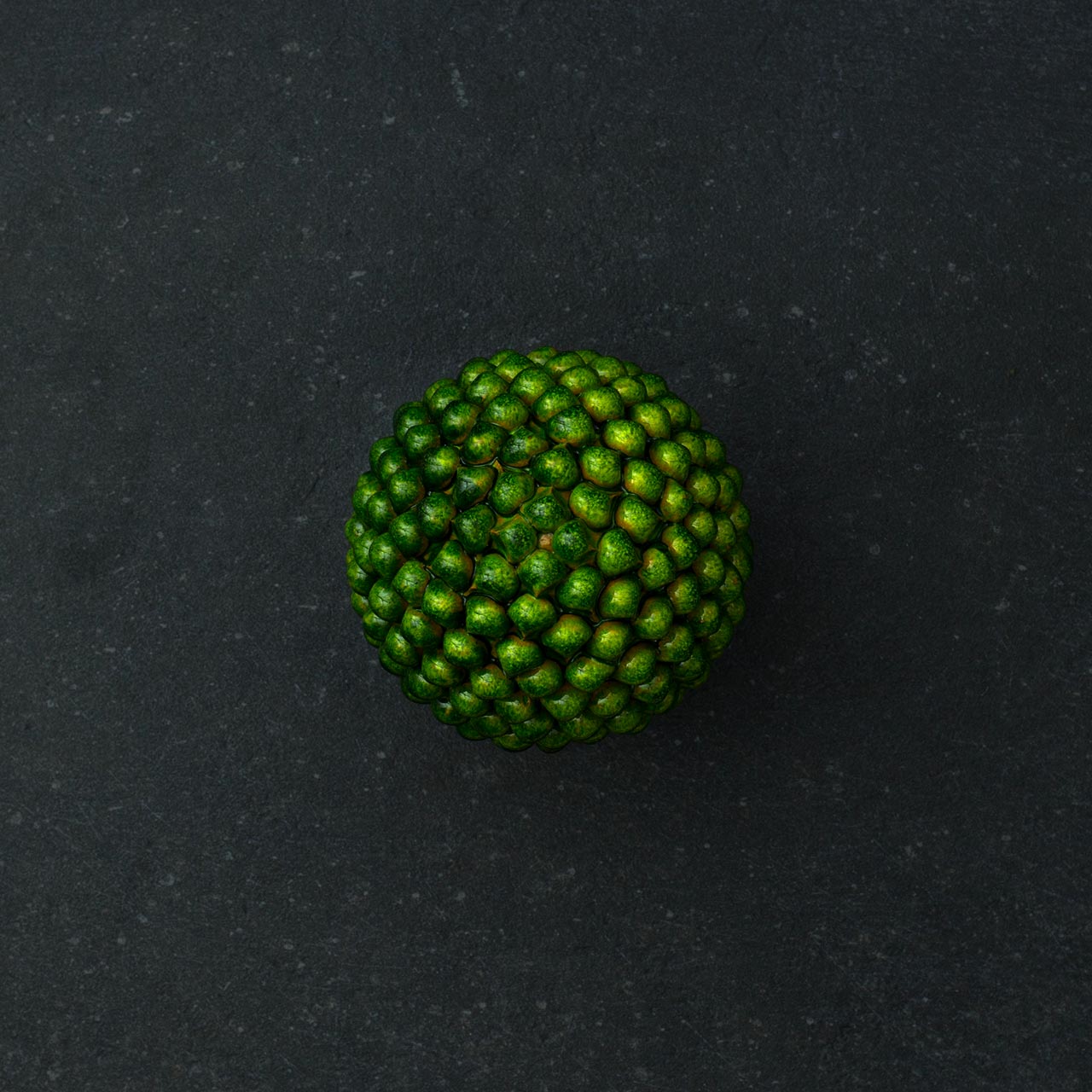 Sicilian Pine Cone in Hand Sculpted and Glazed Ceramic - M