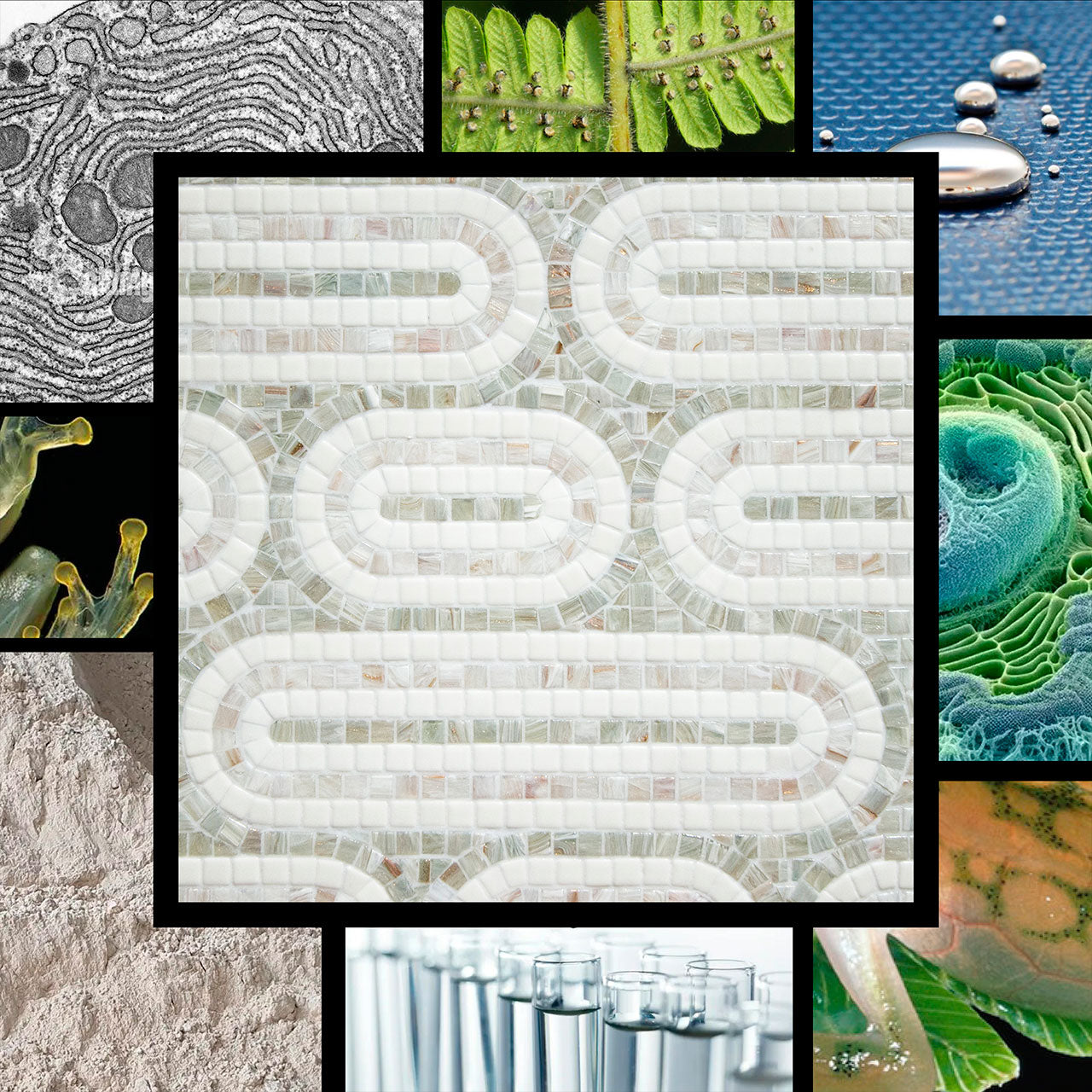 Flora Collection - Artistic Mosaic Phirion A